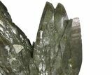 Green-Black Calcite Crystal Cluster - Sweetwater Mine #176291-3